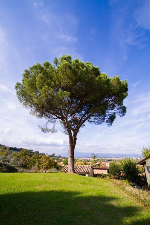 شقة Casa Limonaia أريتسو الغرفة الصورة